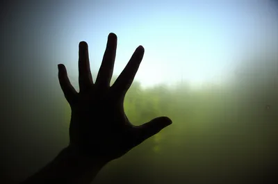 Illustration opaque - Image 1