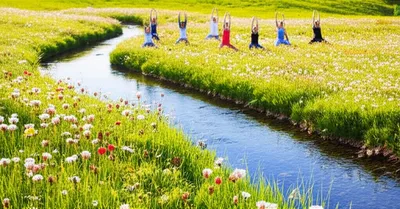 Illustration healthful - Image 1