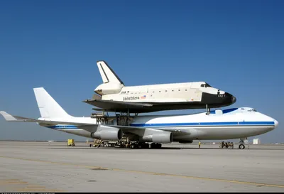 Illustration mating - Image 1