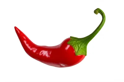 Illustration saucy - Image 1