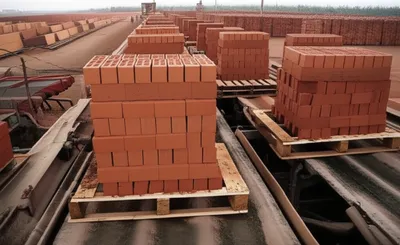 Illustration p - Image 1