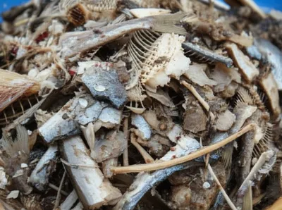 Illustration pomace - Image 1