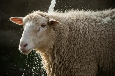 Illustration trending - Image 1