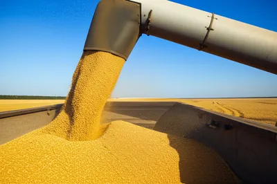 Illustration rec - Image 1