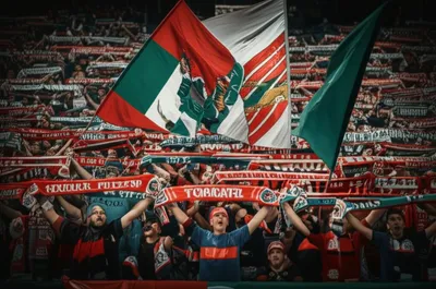 Illustration ultras - Image 1