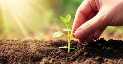 Hình ảnh minh họa initiating - Ảnh 1