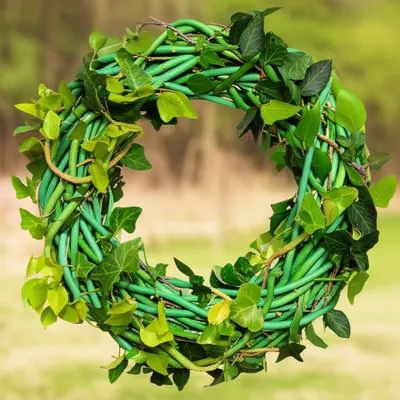 Illustration wreathed - Image 1