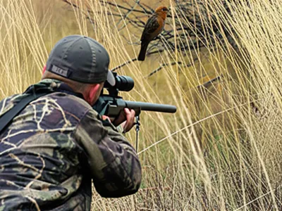 Illustration sniped - Image 1