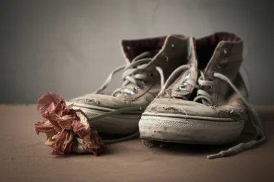 Illustration wear - Image 1