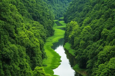 Illustration sleeves - Image 1