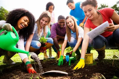 Illustration fraternities - Image 1