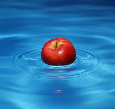 Illustration plop - Image 1