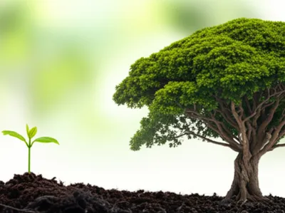 Illustration progress - Image 1