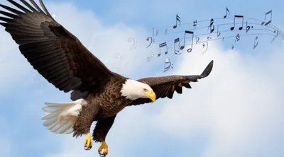 Illustration tenors - Image 1