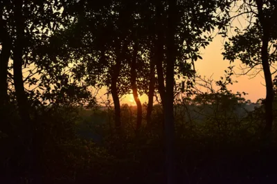 Illustration twilight - Image 1