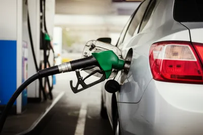 Illustration tanked - Image 1