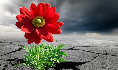 Illustration vivacious - Image 1