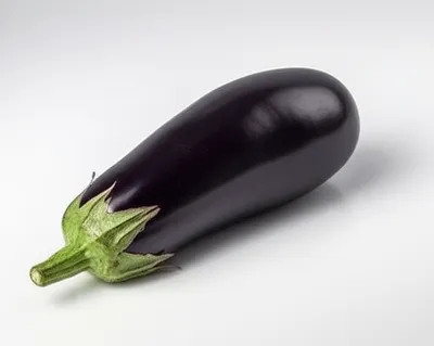 Illustration aubergines - Image 1