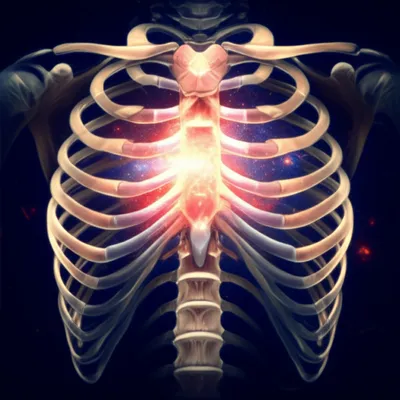 Illustration heart - Image 1