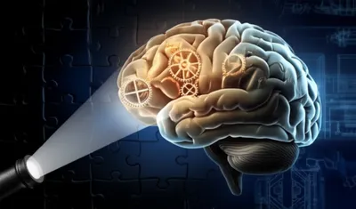 Illustration analytical - Image 2