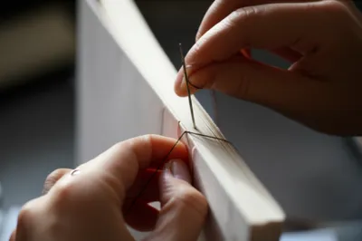 Illustration binds - Image 1