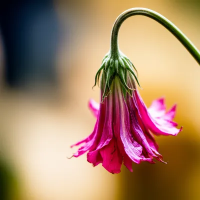 Illustration craziness - Image 1