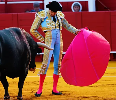 Illustration toreros - Image 1