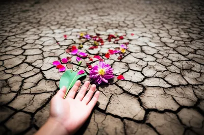 Illustration fretted - Image 1