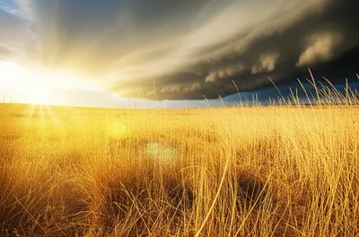 Illustration break - Image 1