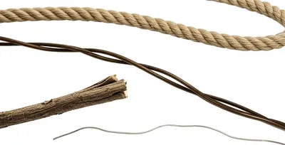 Hình ảnh minh họa string - Ảnh 1