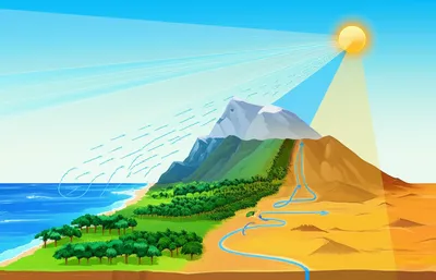 Illustration controls - Image 1