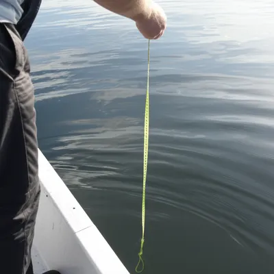 Illustration sound - Image 1