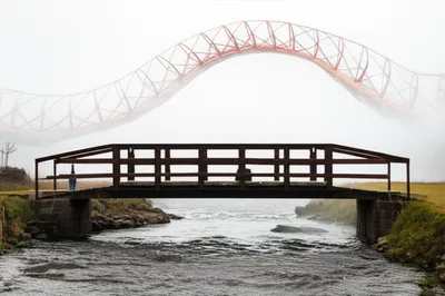 Illustration realistic