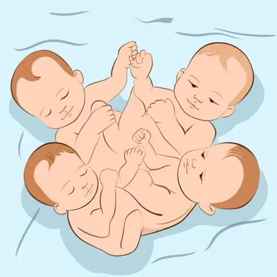 Illustration quads - Image 1