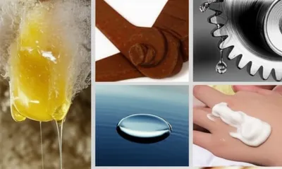 Illustration lanolin - Image 1