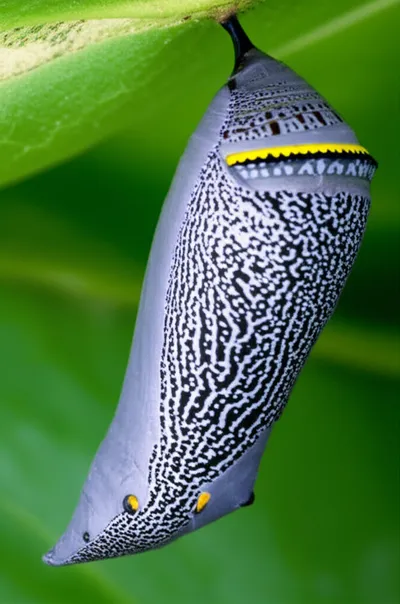 Illustration shifting - Image 1