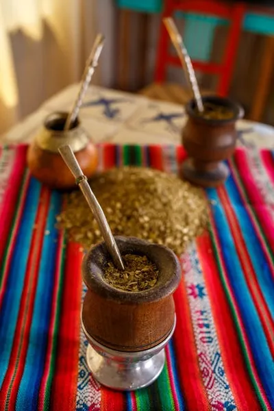 Illustration yerba - Image 2