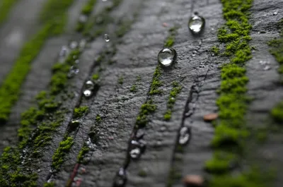 Illustration trickles - Image 1