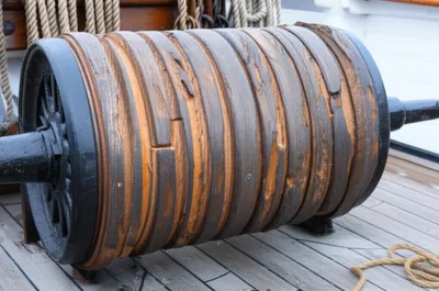 Illustration whelp - Image 1