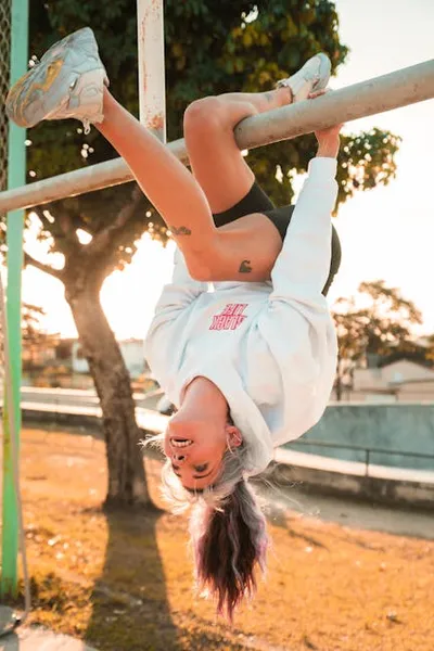 Illustration crossbars - Image 2