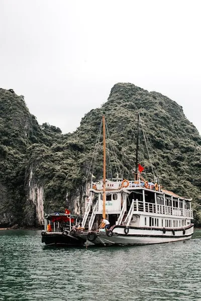 Hình ảnh minh họa thang - Ảnh 2