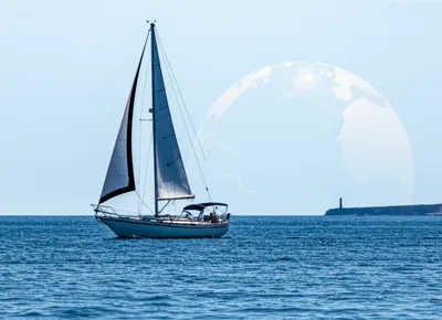 Illustration ms - Image 1