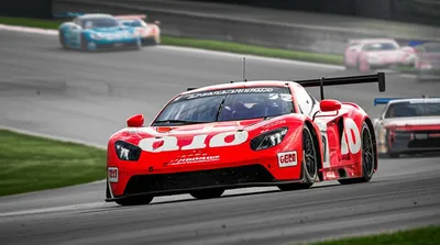 Illustration campaigning - Image 1