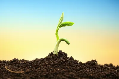 Illustration launches - Image 1