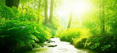 Illustration healthy - Image 1