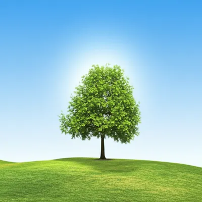 Illustration ens - Image 1