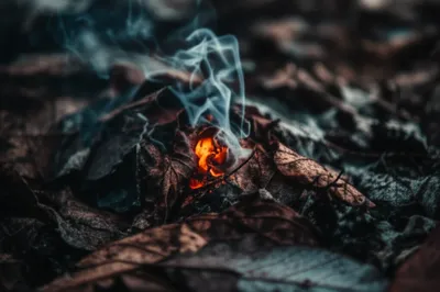 Illustration smother - Image 1