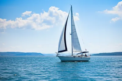 Illustration ply - Image 1