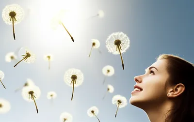 Illustration wished - Image 1