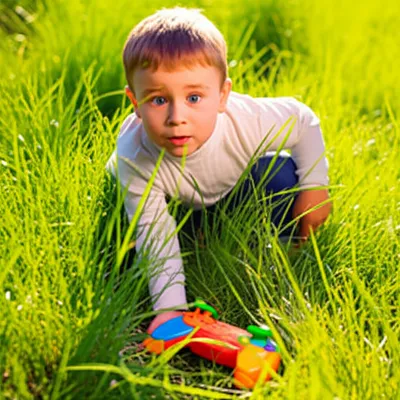 Illustration finding - Image 1